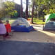 Same standard campsite with 1 pop-up tent that sleeps 4 and 1 pop-up that sleeps 6-8. More than enough room left for comfort.