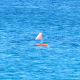 Diver down flags can also give you an indication of where to look.