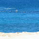 Looking for other snorkelers can help you spot the vents.