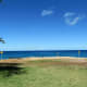 Go to the ocean's edge and examine the water.