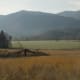 Great Smoky Mountains National Park