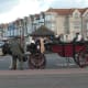 Pony Carriage