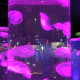 Jellyfish lit up by floresent lighting