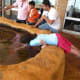 Catching a starfish