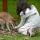 My daughter makes friends with a young kangaroo