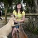 The kangaroos want more!