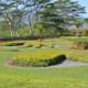 Dole pineapple plantation - pineapple shaped foliage!
