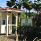 Botanical Garden Tour at the Dole Plantation