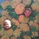 Having fun at the Dole Pineapple Plantation