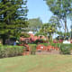Beautiful grounds at the Dole Plantation