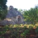 Trulli are unique to the region of Puglia. This is an old original-style trullo next to our property.