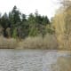 Lost Lagoon is interesting at any time of year.