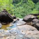 The top of Tarzan Falls