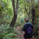 The last portion of the trail is a lot narrower!