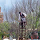 Epcot's World Showcase - Street show in the French area