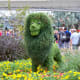 Simba - part of Epcot's International Flower and Garden Festival