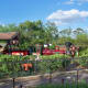 Walt Disney World Railroad - Steam Engine