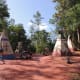 Walt Disney World Railroad - View from train