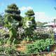 Mickey & Minnie Topiary