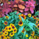 Beautiful flowers and leaves in the landscaped area in front of the pavilion