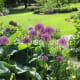 Another garden view