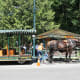 A horse-drawn carriage