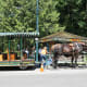 Horse-drawn carriages can be boarded by the information centre.