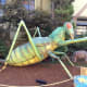A red-eyed devil katydid