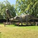 A Tyrannosaurus rex and a Triceratops