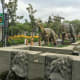 Dinosaurs in the Italian Garden