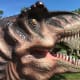 A T. rex head that children can climb into (from the back) and have their photo taken while they are surrounded by the animal's teeth