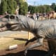 A dinosaur model on the road behind the Agrodome