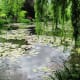 Monet's Japanese water garden features willows, water lilies, and a grove of bamboo. There are also small bridges and a Japanese bridge.
