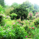 Flowers leap, cascade, climb and fall all over one another to impress visitors.