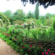 The main path closed off to tourists -- this is as organized as it gets in Monet's gardens.