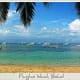 Panglao Island, Bohol boasts some of the best diving spots in the Philippines, with about 250 different species of crustaceans and 2,500 species of mollusks.