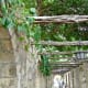 Outside walkway at the Alamo