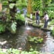 The Butterfly House in Lake Gardens.