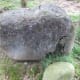 A very real-looking rock is actually some sort of mache over chicken wire.