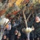 top-ten-things-to-do-at-walt-disney-world-animal-kingdom