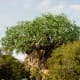 The Tree of Life is made up of carvings of different animals.