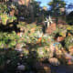 top-ten-things-to-do-at-walt-disney-world-animal-kingdom