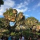 top-ten-things-to-do-at-walt-disney-world-animal-kingdom
