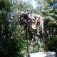 top-ten-things-to-do-at-walt-disney-world-animal-kingdom