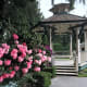 The bandstand and rhododendrons
