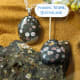 Pudding stone looks like quite an interesting stone.