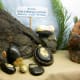These rocks were found not far from the Clubrooms.