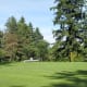 The Great Lawn