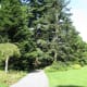 A path by the Great Lawn