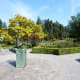 The sundial and the rose garden